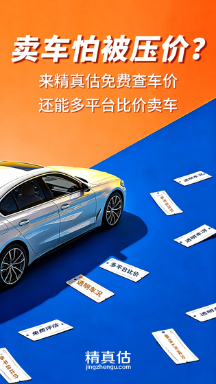精真估二手车 截图 1