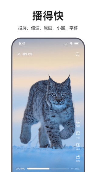 迅雷浏览器 截图 3