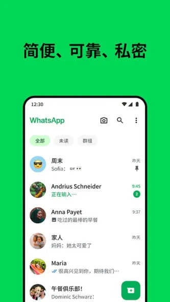 WhatsApp 应用截图 2