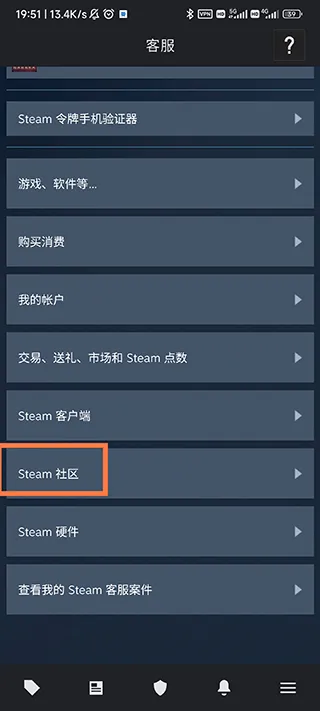 Steam