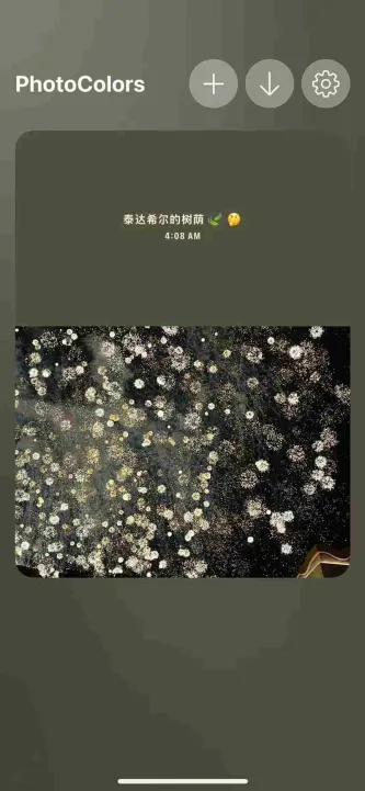 photocolors