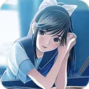 DraStic 游戏图标